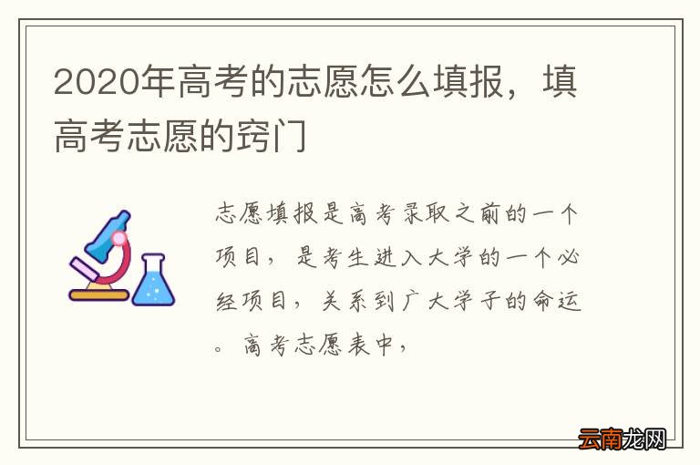 2020年高考的志愿怎么填报，填高考志愿的窍门