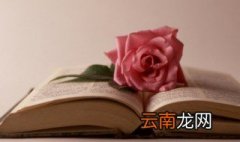 手不释卷的意思是什么 手不释卷的释义