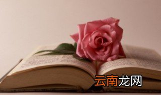 手不释卷的意思是什么 手不释卷的释义