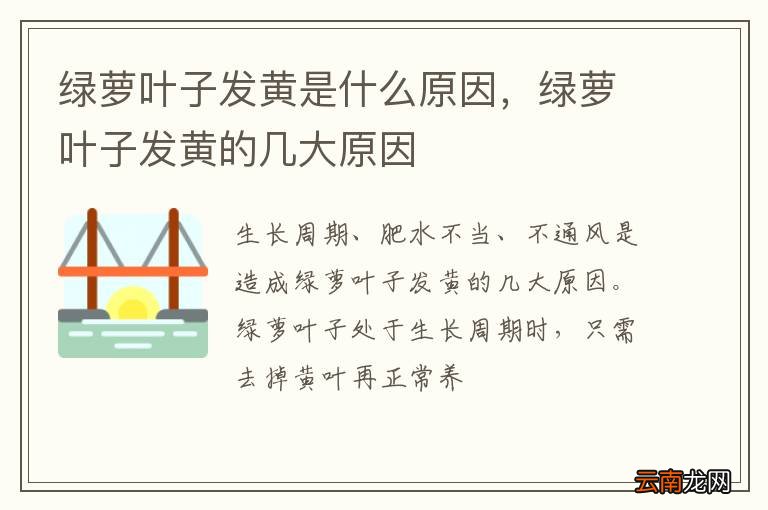 绿萝叶子发黄是什么原因,绿萝叶子发黄的几大原因
