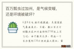 百万瓢虫过加州，是气候变暖，还是环境被破坏？