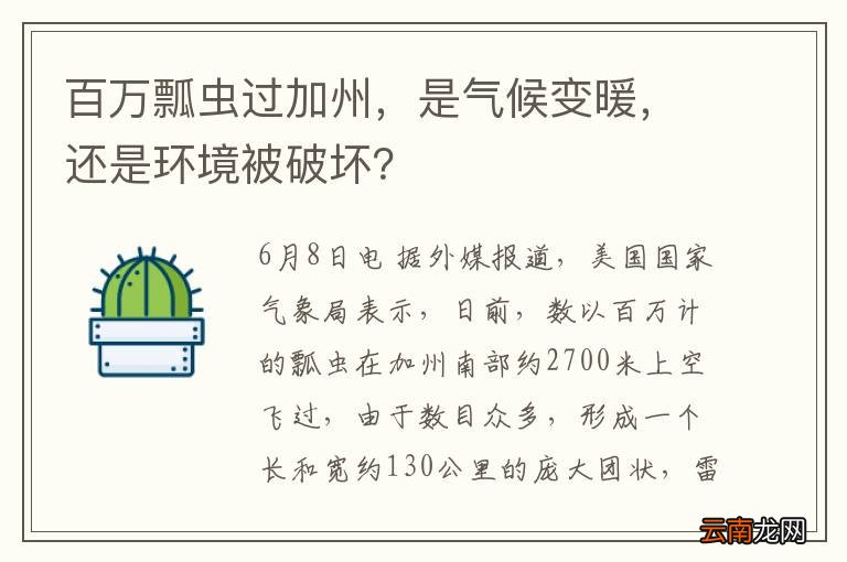 百万瓢虫过加州，是气候变暖，还是环境被破坏？