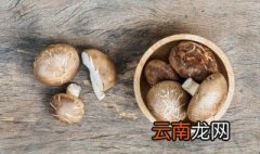 如何种小蘑菇 种小蘑菇的步骤