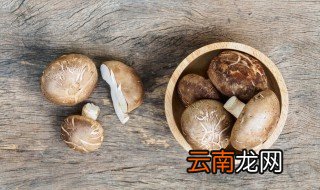 如何种小蘑菇 种小蘑菇的步骤