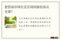 肥西县珍珠社区区域核酸检测点在哪？