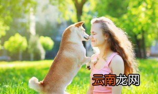 狗狗名字大全 这些都可以参考