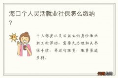 海口个人灵活就业社保怎么缴纳？