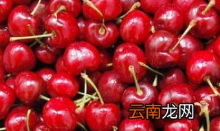 车厘子怎么保存 车厘子保存方法讲解