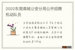 2022东莞南城公安分局公开招聘机动队员
