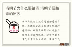 清明节为什么要踏青 清明节要踏青的原因
