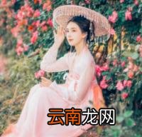 视频投票制作 如何设置制作视频投票?