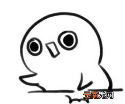 几种保存板栗的日常方法