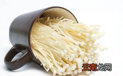 金针菇为什么不易被消化呢