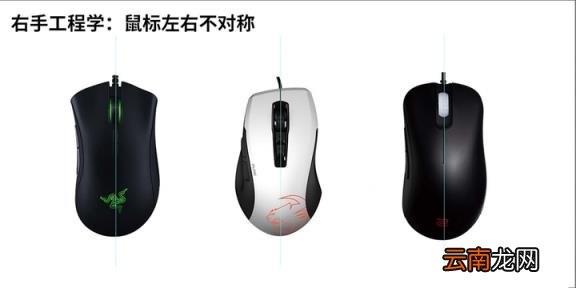 雷蛇蝰蛇标准版怎么调灯光 雷蛇蝰蛇2000和标准版的区别