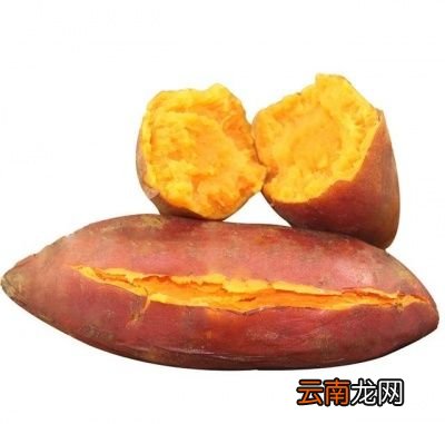 吃红薯有哪些注意事项