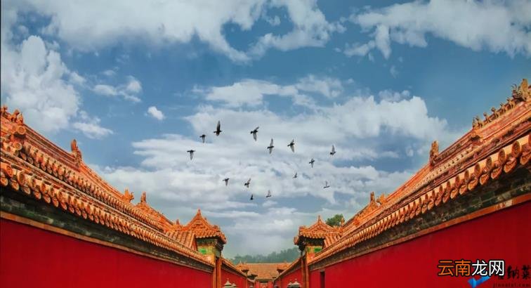 现代爱国诗词大全 赞美热爱祖国的现代诗
