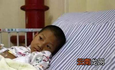 朋友您吃过折耳根吗