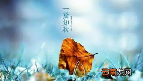 立秋后秋老虎有多少天 2022立秋有几个秋老虎