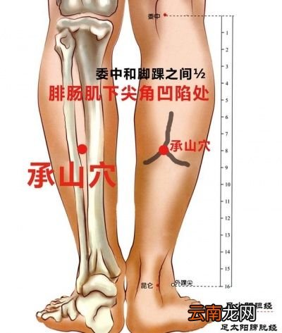 不知道是湿寒还是湿热怎么办