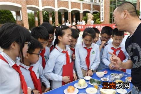 泰州市城南小学上榜第一省一级实验小学 泰州市公立小学排名榜