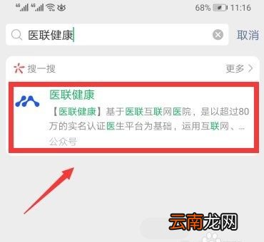 核酸检测怎么看见结果