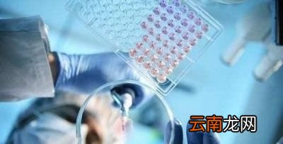 感染新型冠状病毒有什么症状