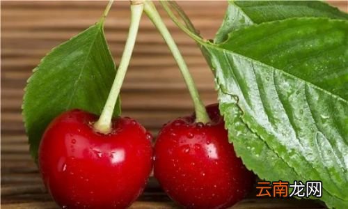 樱桃怎样保存得更久