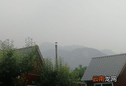 白凉粉放可乐怎么做