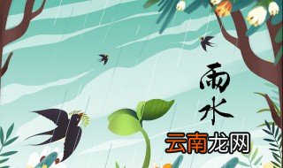 描写雨水节气的诗词 雨水节气诗词有哪些
