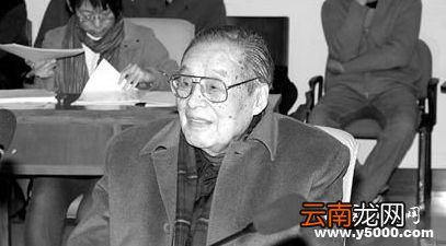 吴于廑生平经历 吴于廑有哪些成就？
