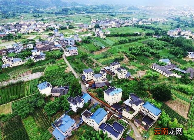 宅基地使用证