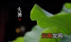 大暑节气习俗 关于大暑节气习俗