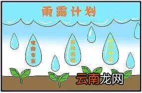 雨露计划