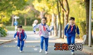 小学生宪法知识 简短 小学生宪法知识是什么