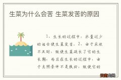 生菜为什么会苦 生菜发苦的原因
