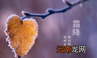 霜降节气推荐语 关于霜降节气的推荐语