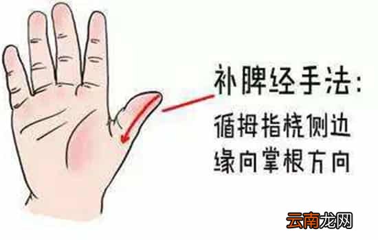 小儿痢疾推拿 家长可试试这三种手法