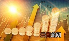 什么叫基金净值 基金净值介绍