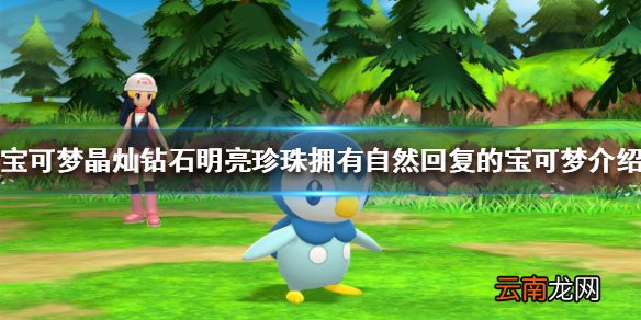 宝可梦钻石珍珠自然回复是什么 拥有自然回复的宝可梦介绍