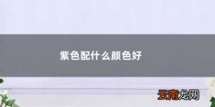 紫色配什么颜色好看 衣服 紫色配什么颜色好看