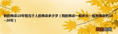 狗的寿命一般多长一般其寿命为10~20年 狗的寿命10年相当于人的寿命多少岁