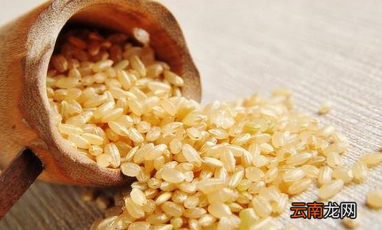 减肥者运动后要补充体力 快速补充体力的8种食物