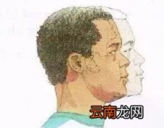 锻炼腰背的动作 避免腰背痛的简单运动