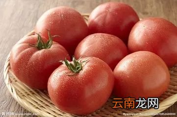 西红柿的营养价值 常吃西红柿好处太多