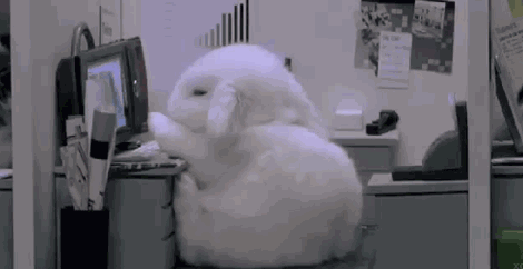 女性健康养生知识 先理气，后滋阴，最后一个最重要！