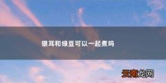 绿豆和银耳可以一起煮吗有啥子作用 银耳和绿豆可以一起煮吗