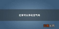 红掌可以净化空气吗「红掌净化空气吗?」