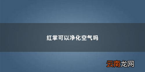 红掌可以净化空气吗「红掌净化空气吗?」