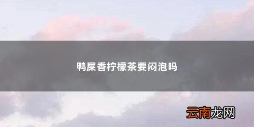 鸭屎香柠檬茶要闷泡吗