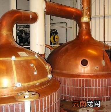 猕猴桃有酒味但是没腐烂还能吃吗